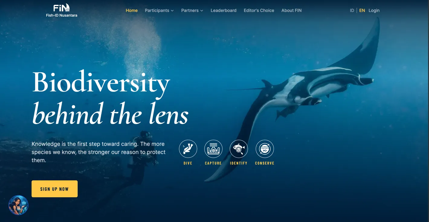 fin-website